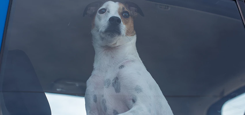 Car Lockout Solutions in Rosemead, California